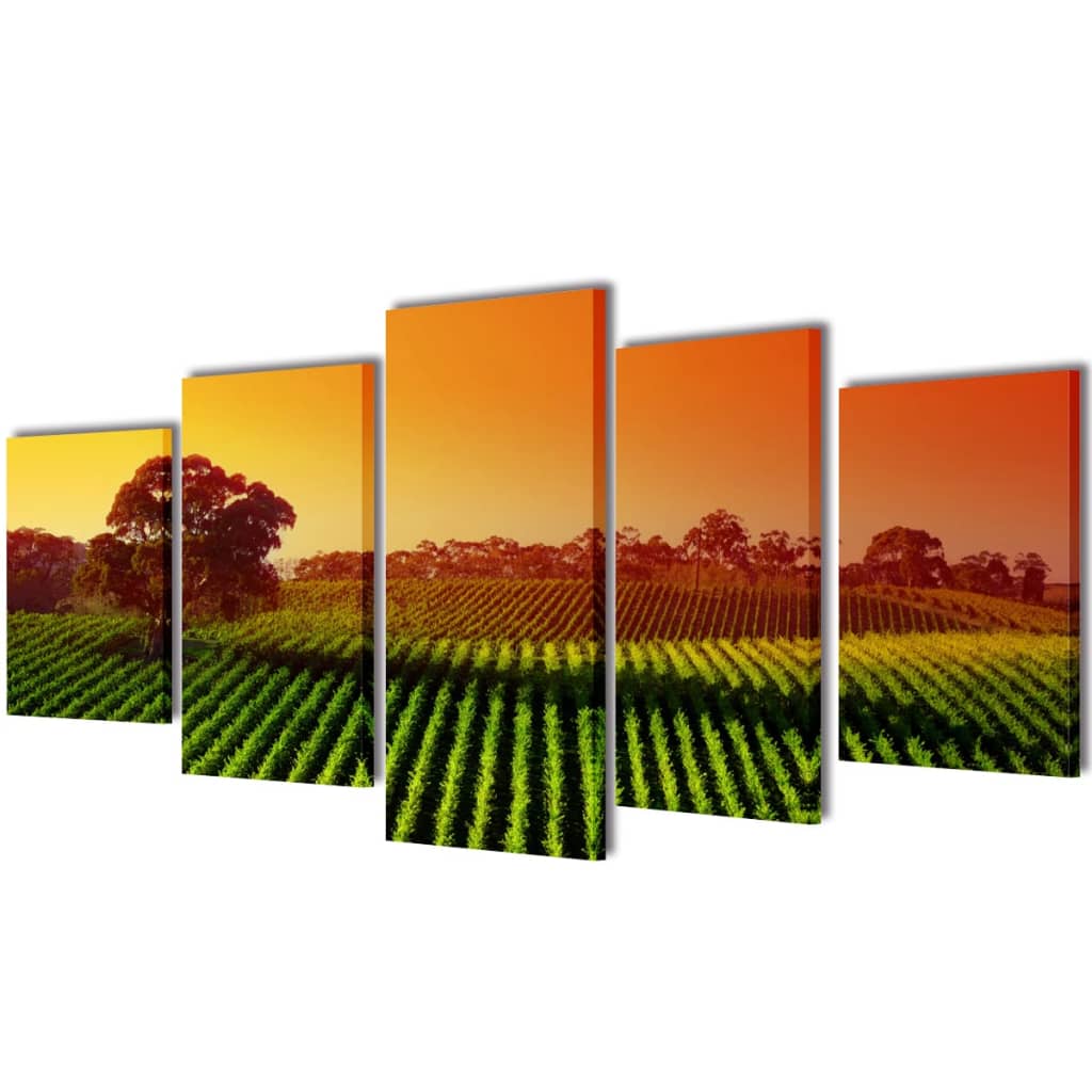 Bilder Dekoration Set Hängematte